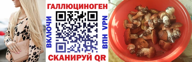 omg как войти  Дубовка  Псилоцибиновые грибы мухоморы 
